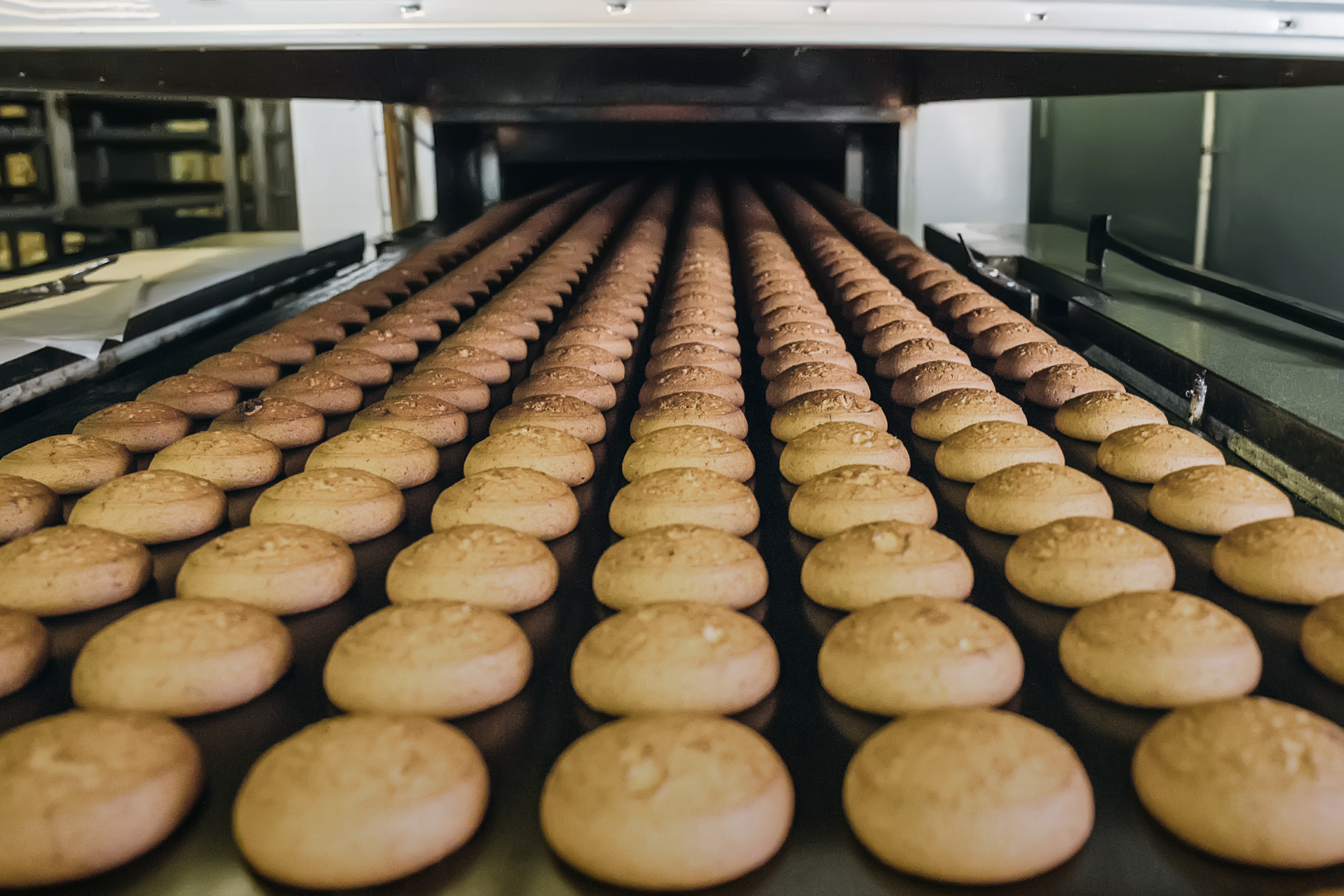 Qualit&agrave; costante nei processi di produzione di prodotti da forno industriali