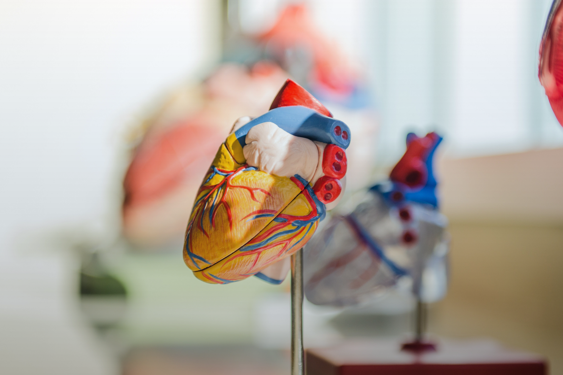 Misurazione delle forze in vivo su dispositivi impiantabili per la riparazione valvolare cardiaca