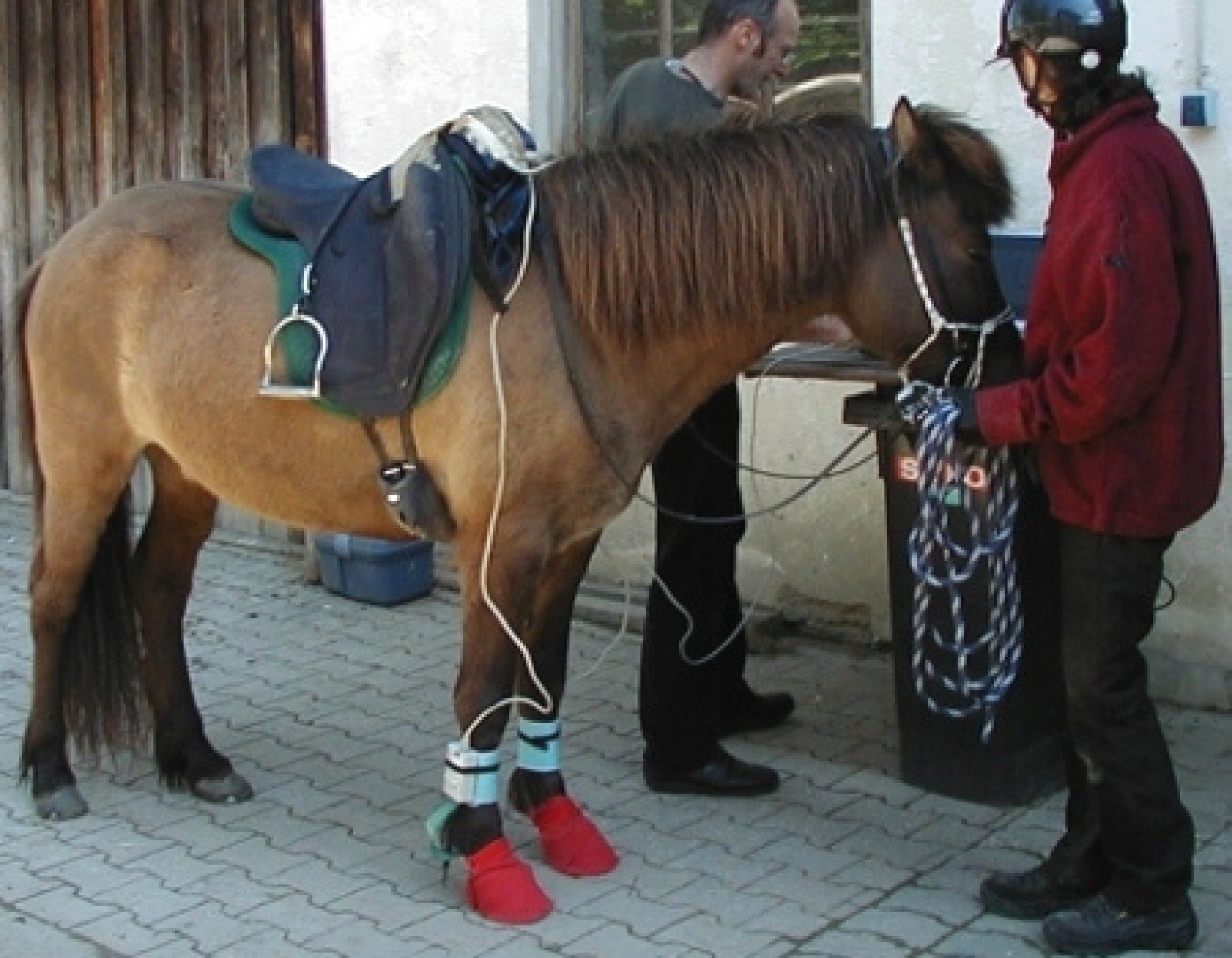 Hoof System Tekscan